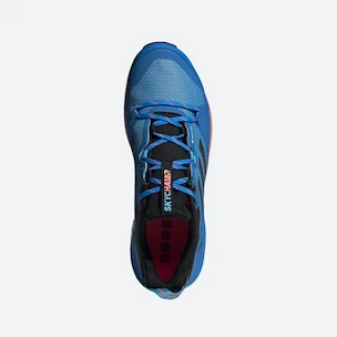 Männer Schuhe adidas  Terrex Skychaser 2 GTX Blue