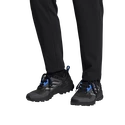 Männer Schuhe adidas  Terrex SWIFT R3 GTX
