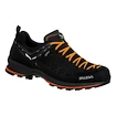 Männer Schuhe Salewa  MTN Trainer 2 GTX