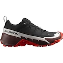 Männer Schuhe Salomon  Cross Hike GTX 2