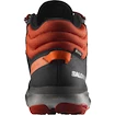 Männer Schuhe Salomon  Predict Hike Mid GTX Black