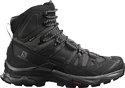 Männer Schuhe Salomon  Quest 4 Gore-Tex