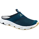 Männer Schuhe Salomon  RX