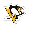 Magnet NHL Pittsburgh Penguins