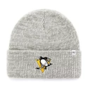 Mütze 47 Brand Brain Freeze NHL Pittsburgh Penguins