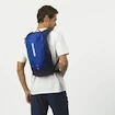 Rucksack Salomon Trailblazer TRAILBLAZER 10 Surf The Web/Black Iris