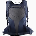 Rucksack Salomon Trailblazer TRAILBLAZER 20 Surf The Web/Black Iris