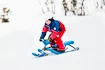Schneebob Stiga Snowracer Colour Pro