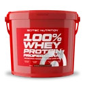 Scitec Nutrition 100% Whey Protein Professional 5000 g