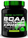 Scitec Nutrition BCAA + Glutamine Xpress 600 g