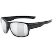 Sport Brille Uvex  Esntl Urban Black Matt/Mir. Silver (S5330632216)
