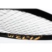 Squashschläger Head  Graphene 360+ Speed 120 SB