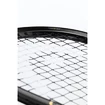 Squashschläger Head  Graphene 360+ Speed 120 SB