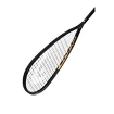 Squashschläger Head  Graphene 360+ Speed 120 SB