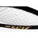 Squashschläger Head  Graphene 360+ Speed 120 SB