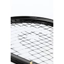 Squashschläger Head  Graphene 360+ Speed 120 SB