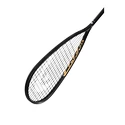 Squashschläger Head  Graphene 360+ Speed 120 SB