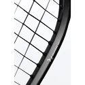 Squashschläger Head  Graphene 360+ Speed 120 SB