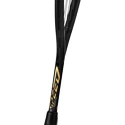 Squashschläger Head  Graphene 360+ Speed 120 SB