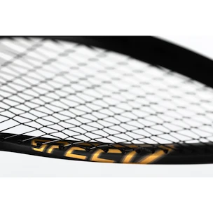 Squashschläger Head  Graphene 360+ Speed 120 SB