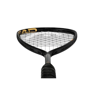 Squashschläger Head  Graphene 360+ Speed 120 SB
