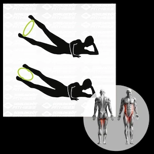Stärkungskreis Schildkröt  Pilates Ring