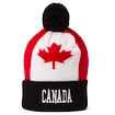 Strickmütze CCM  Flag Hood Team CAN Black