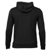 Sweatshirt Warrior Alpha X Aspire Hoody SR