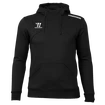 Sweatshirt Warrior Alpha X Aspire Hoody SR