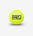 Tennisbälle Dunlop Fort All Court TS
