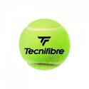 Tennisbälle Tecnifibre  Club (4 St.)
