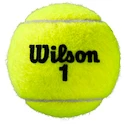 Tennisbälle Wilson  Roland Garros All Court (4 St.)