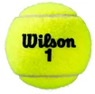 Tennisbälle Wilson Roland Garros Official (4 St.)