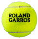 Tennisbälle Wilson Roland Garros Official (4 St.)