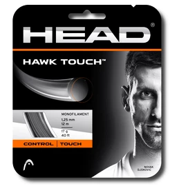 Tennissaite Head Hawk Touch