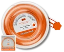 Tennissaite Signum Pro  Plasma HEXtreme (200m)  1,30 mm