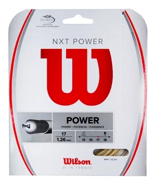 Tennissaite Wilson NXT Power