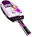 Tischtennisschläger Butterfly Liu Shiwen LSX5
