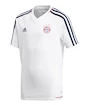 Trainings trikot jungen adidas Authentic FC Bayern Mnichov blanc 17/18