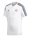 Trainings trikot jungen adidas Authentic FC Bayern Mnichov blanc 17/18