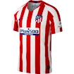 Trikot Nike