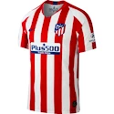 Trikot Nike