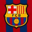 Trikot Nike FC Barcelona Home 2018/19