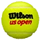 Tennisball Wilson