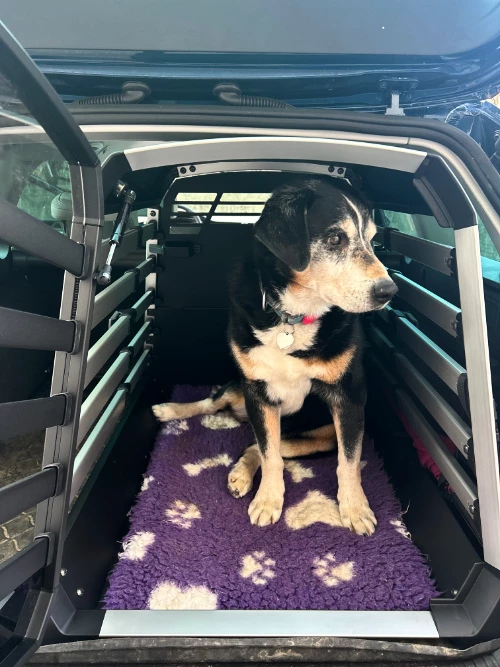 Thule Allax Transportbox