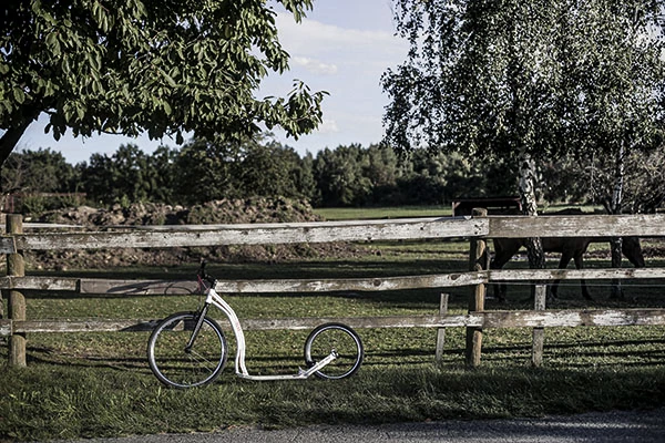 Yedoo Scooter für längere Touren