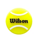 Vibrationsdämpfer Wilson  Dampeners Box Roland Garros