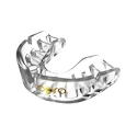 Zahnschutz Opro  Gold Clear Senior
